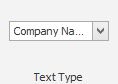 The Text Type selector in the ribbon